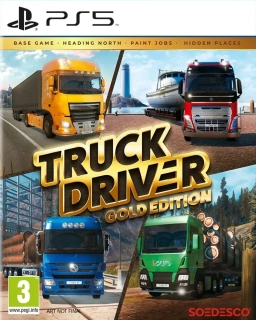 Truck Driver PS5